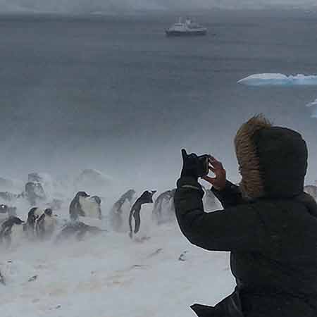 Photography with penguins.