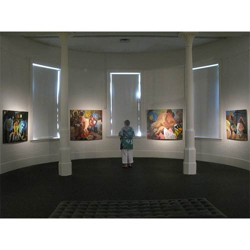 The Imagined Life: Survey Exhibition, S.H.Ervin Gallery, Sydney 2011